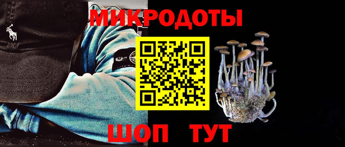 Шумерля  Псилоцибиновые грибы Psilocybine cubensis  Вход с VPN 